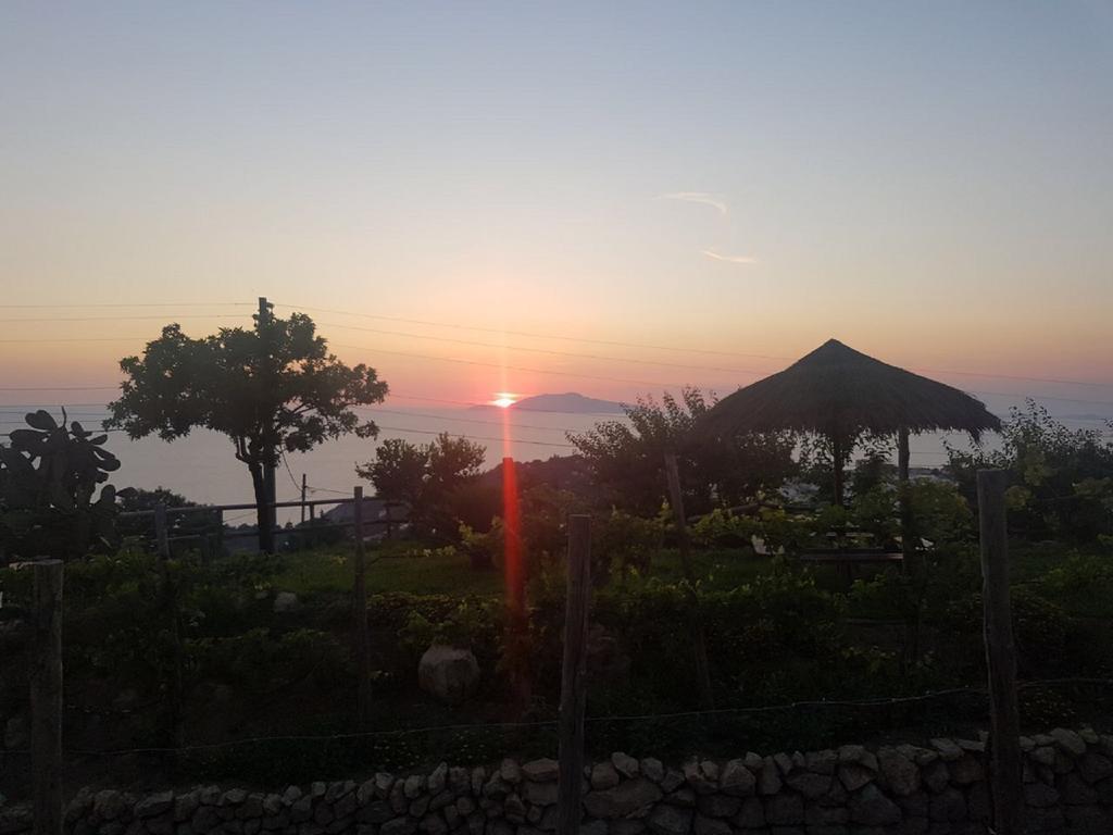 Agriturismo Del Sole Anacapri  Dış mekan fotoğraf