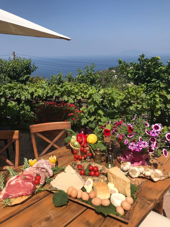 Agriturismo Del Sole Anacapri  Dış mekan fotoğraf