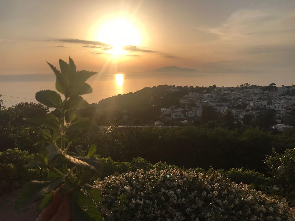 Agriturismo Del Sole Anacapri  Dış mekan fotoğraf